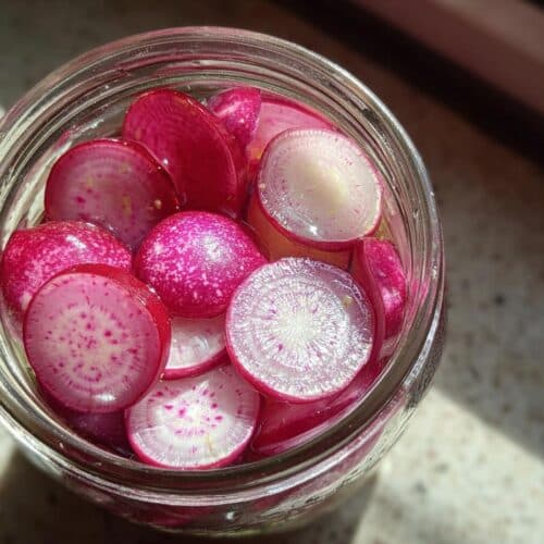 Radis fermentés à l'asiati