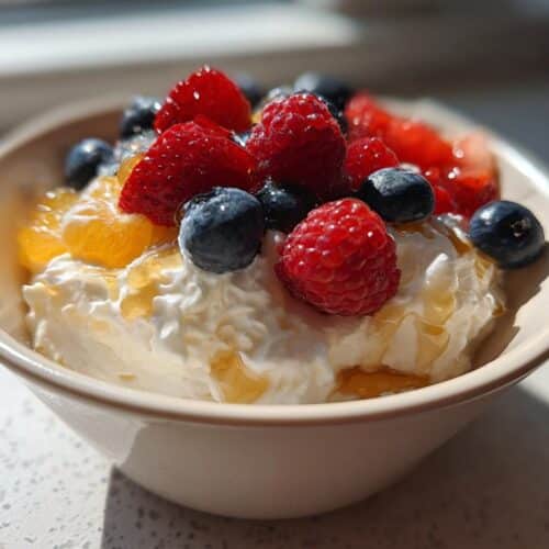 Yaourt végétal fermenté